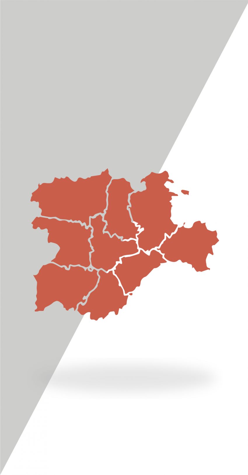 La economía en Castilla y León: algunas “pinceladas”
