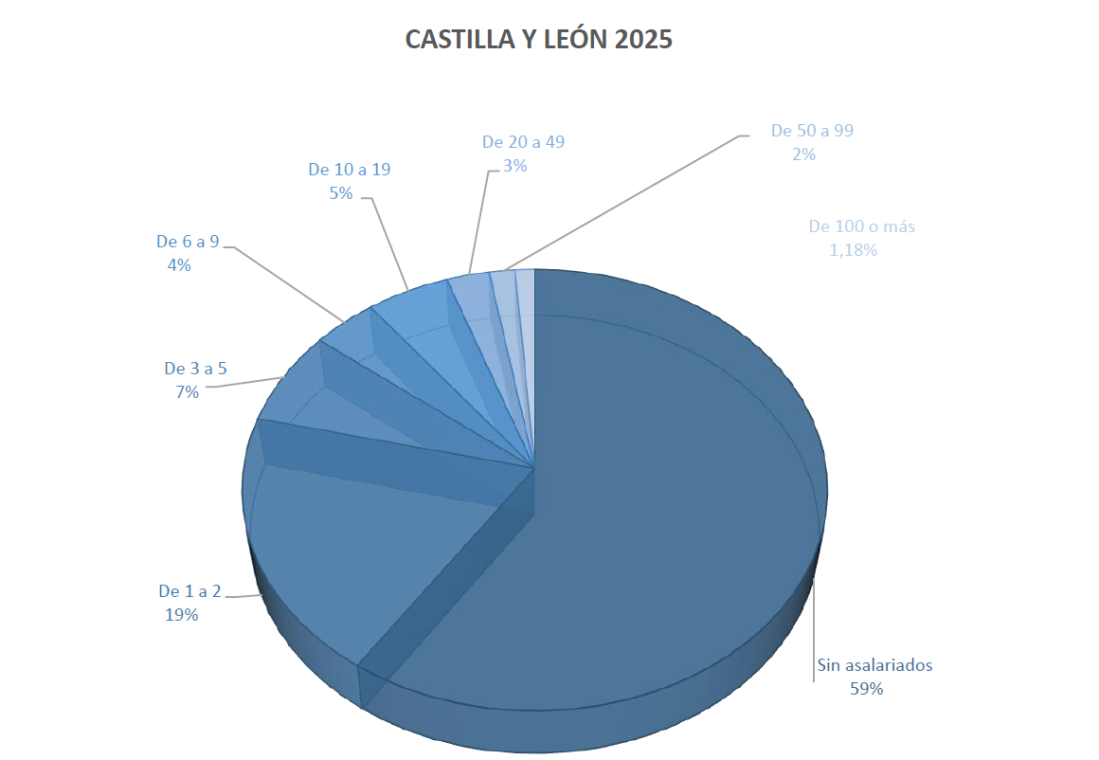 Nº de empresas TIC en Castilla y León, estratificado por número de empleados