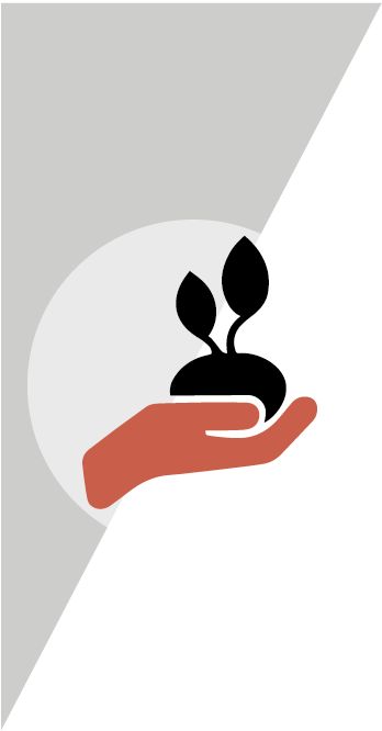 Sostenibilidad y agroalimentación Sostenibilidad y agroalimentación