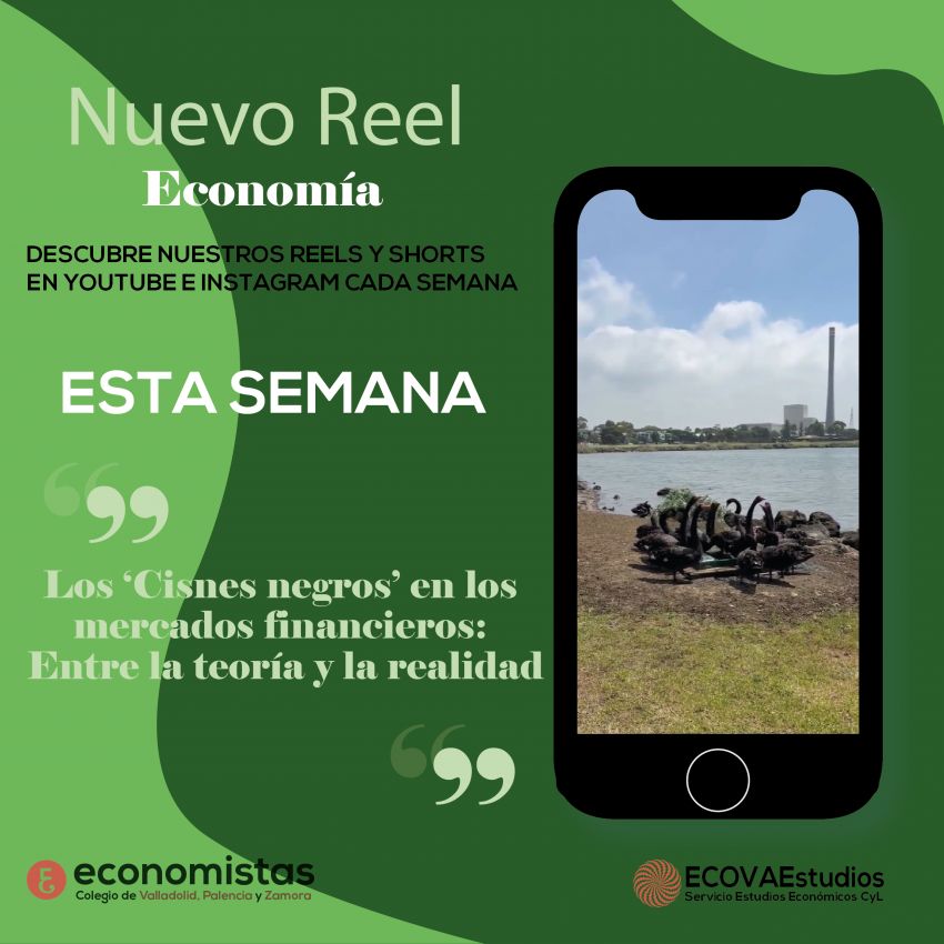 cisnes negros Mesa de trabajo 1 copia