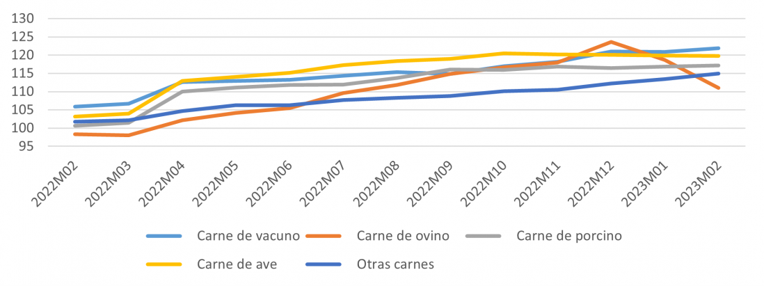 Evolución del IPC de los diferentes tipos de carnes para Castilla y León